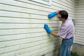 Best Insulated Siding Installation  in Sho Creek, AL